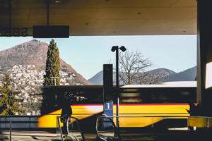 Car / Bus / Autobus / Autocar